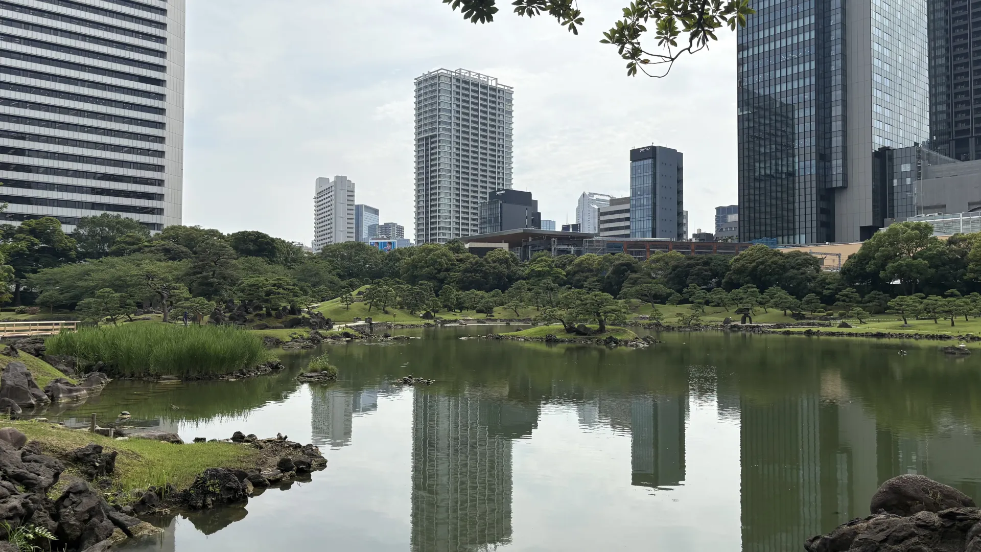 旧芝離宮恩賜庭園の泉水と中島、石組みの向こうに浜松町の高層建築が見える風景