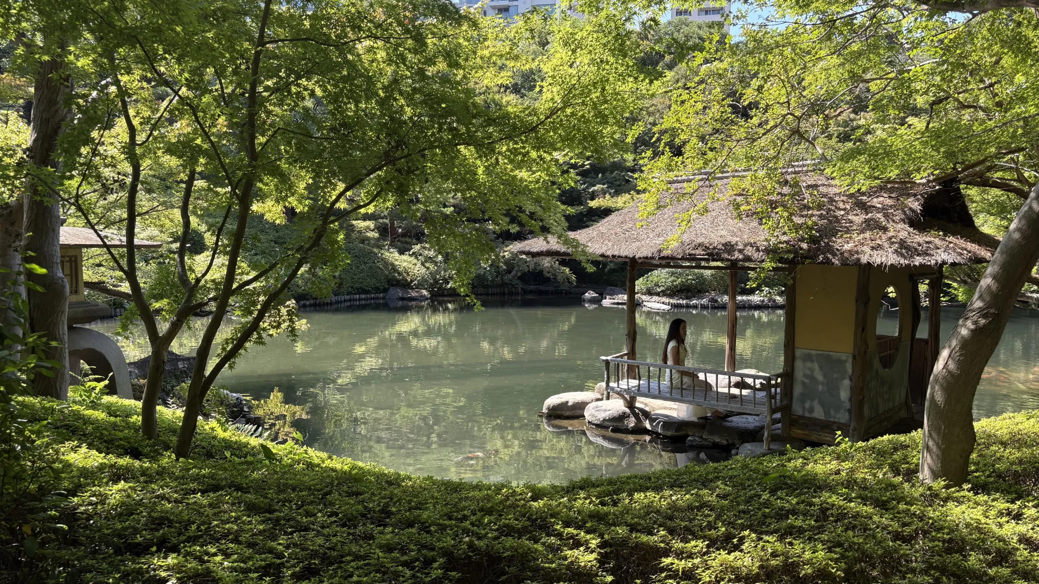 池の水面と東屋、深い緑が重なる八芳園庭園の景色